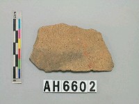 藏品(淺褐色夾砂陶片)的圖片